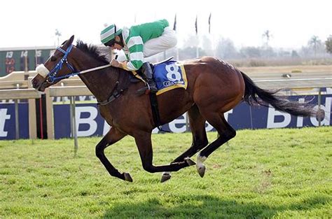 horse racing results scottsville